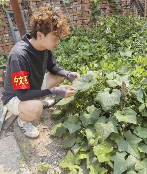 ѧ|ֳ̻Ҹ롱