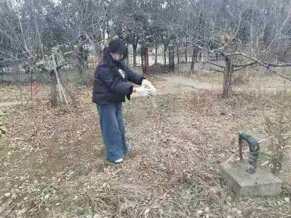 ���ഺ֮������ɫ��԰