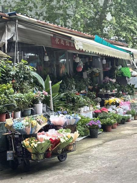 菜市场附近花店摆放的鲜花和绿植