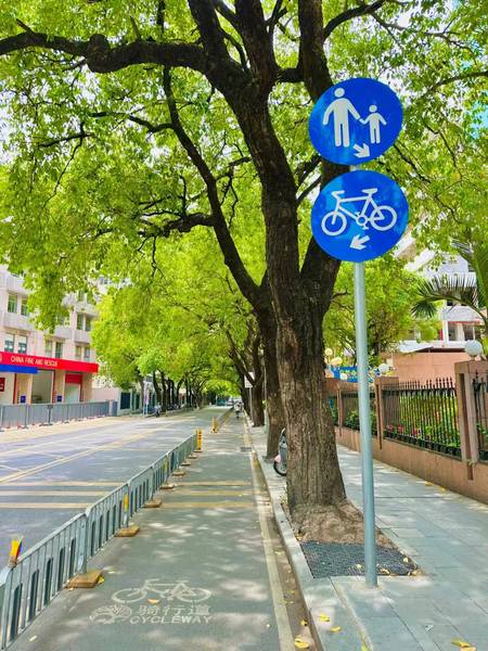 武汉道路旁设置的骑行道及自行车标识