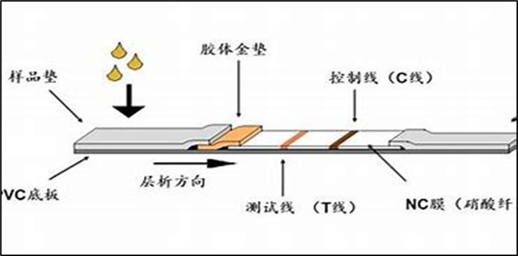 �������У�ʵ�ַ�ҽY-DNA���ͻ�ƣ��Ƽ�����˾������������